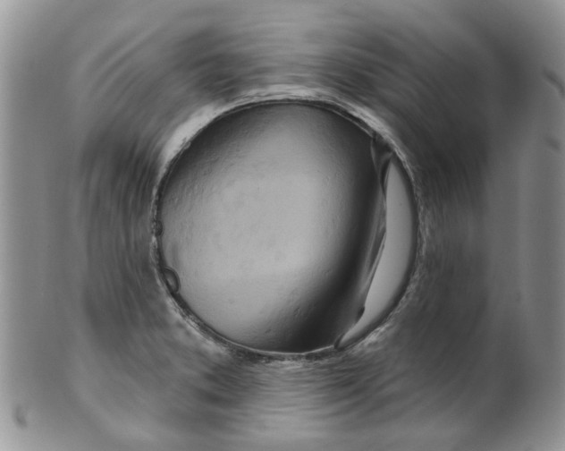 X0000099501373200806051112