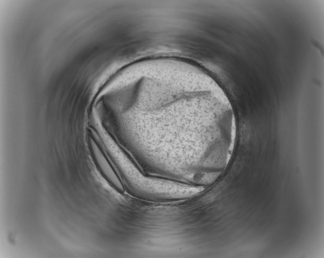 X0000099501374200806051112