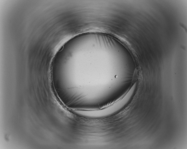 X0000099501375200806051112