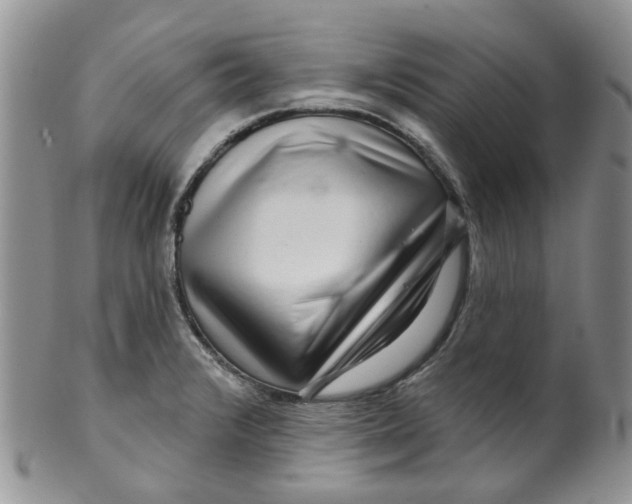 X0000099501376200806051112