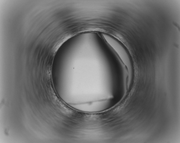 X0000099501377200806051112