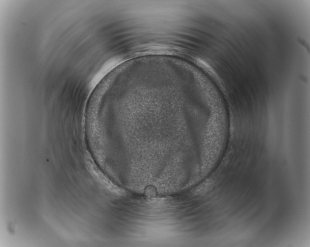 X0000099501378200806051112