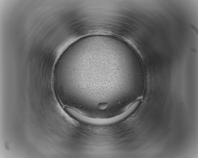 X0000099501379200806051112