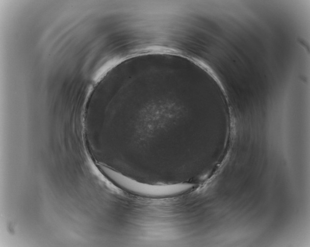 X0000099501381200806051112