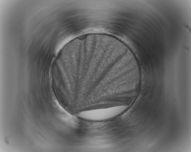 X0000099501382200806051112