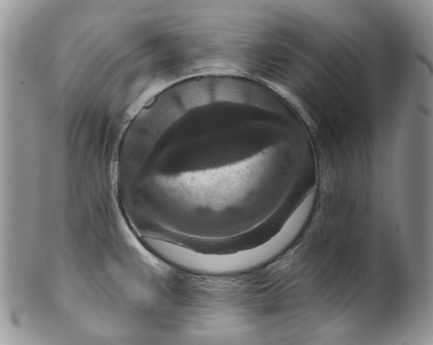 X0000099501383200806051112