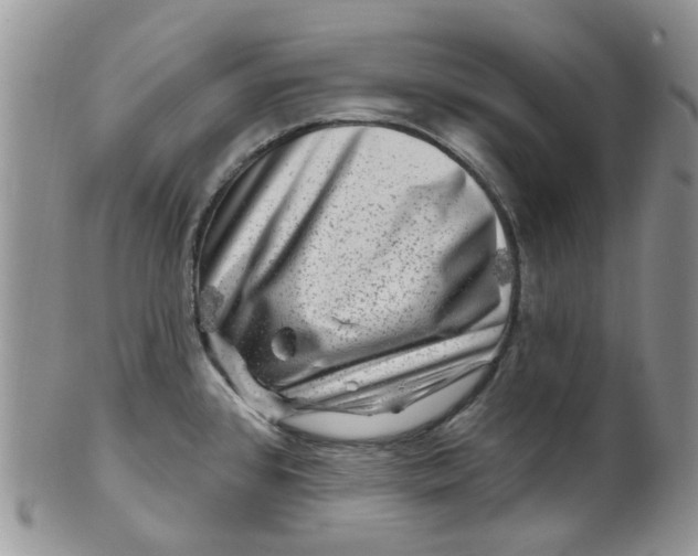 X0000099501384200806051112