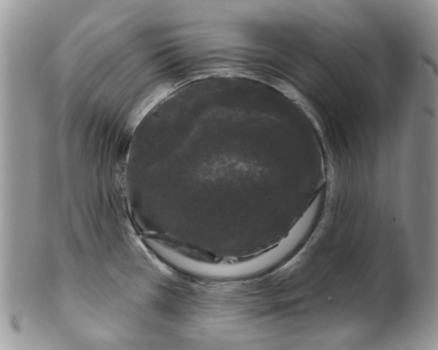 X0000099501385200806051112