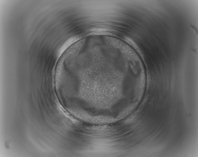 X0000099501386200806051112