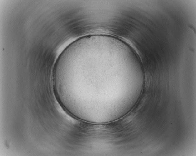 X0000099501387200806051112