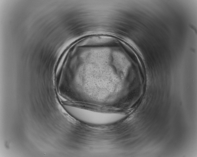 X0000099501388200806051112