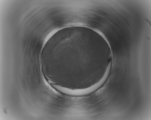 X0000099501389200806051112