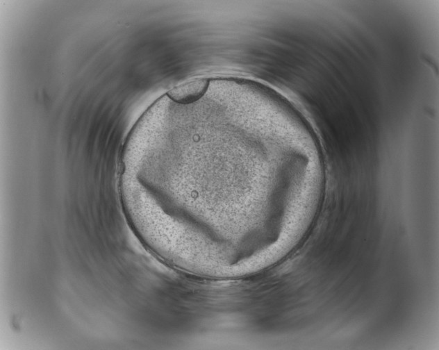 X0000099501390200806051112