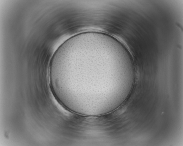 X0000099501391200806051112