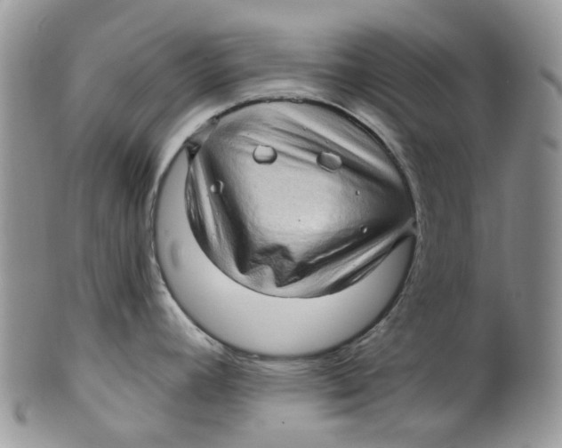 X0000099501392200806051112