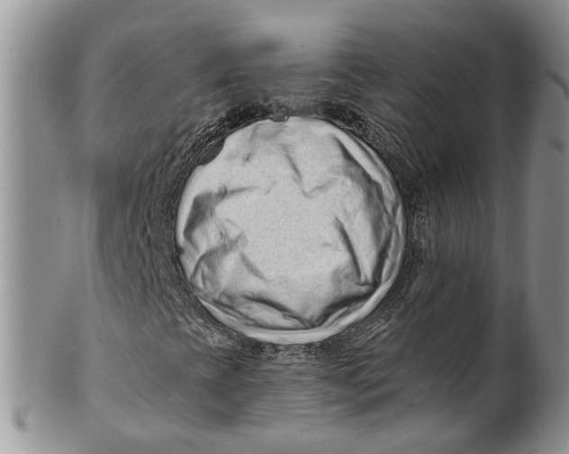 X0000099501393200806051111