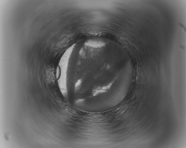 X0000099501394200806051111