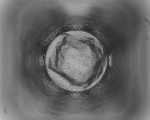 X0000099501395200806051111