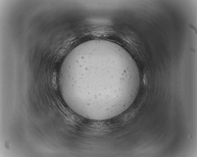 X0000099501396200806051111