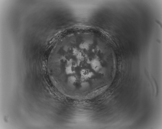 X0000099501397200806051111