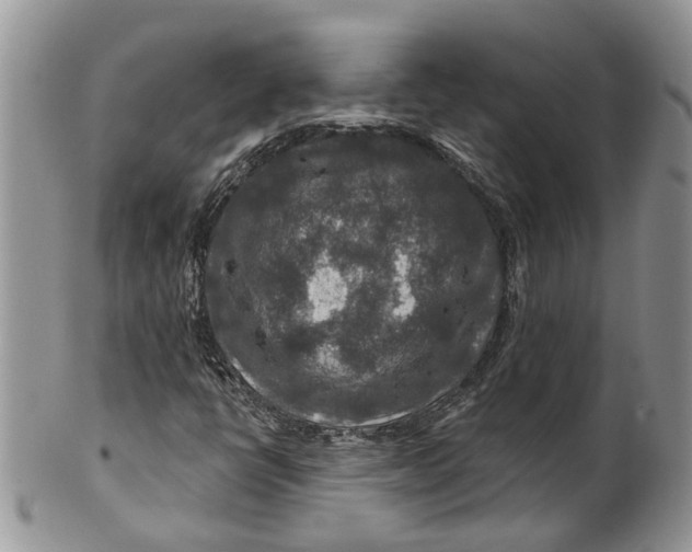 X0000099501398200806051111