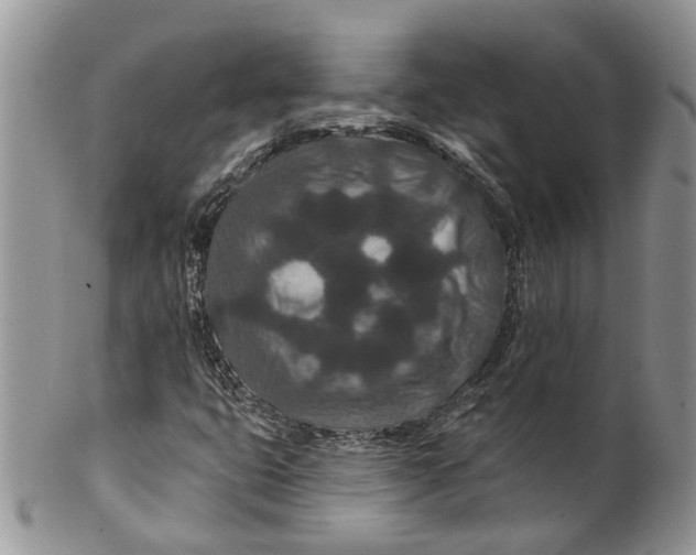 X0000099501399200806051111