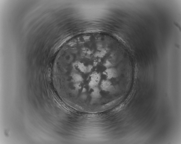 X0000099501401200806051111