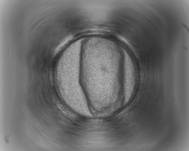 X0000099501403200806051111