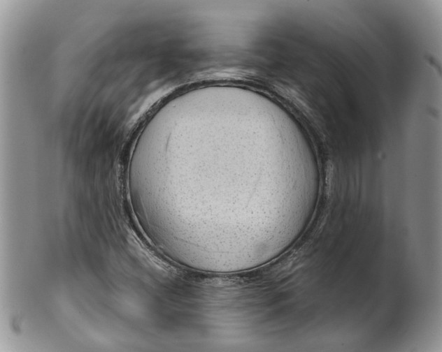 X0000099501404200806051111