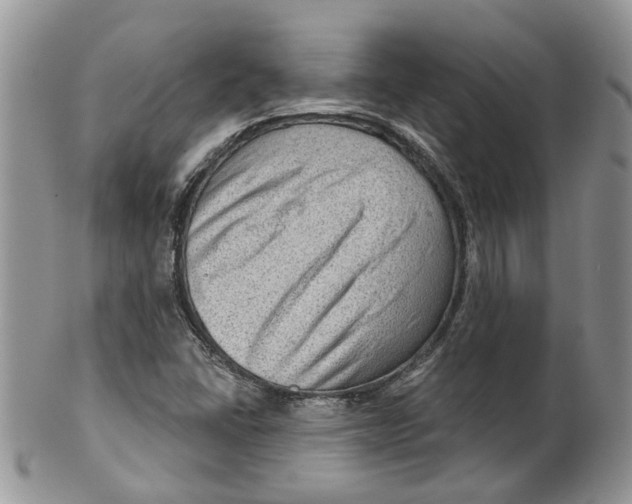 X0000099501406200806051111