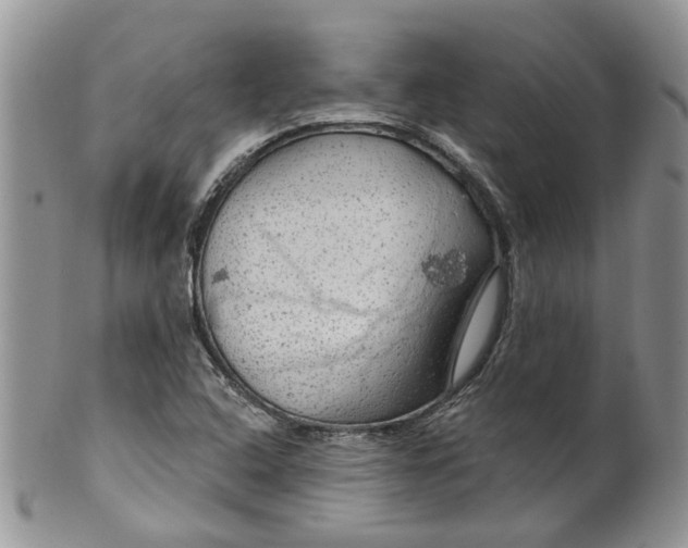 X0000099501408200806051111