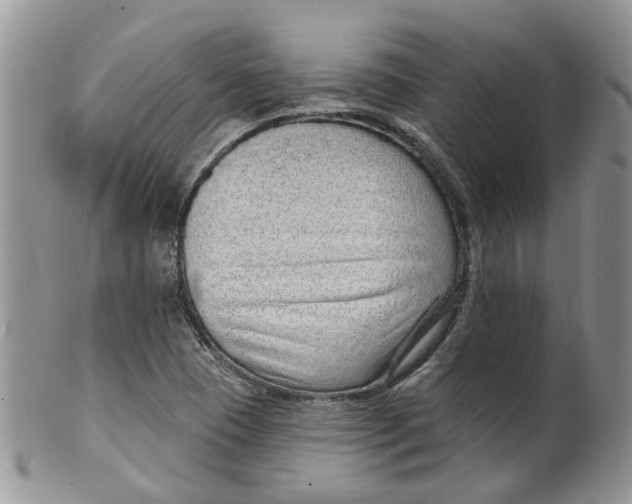 X0000099501409200806051111