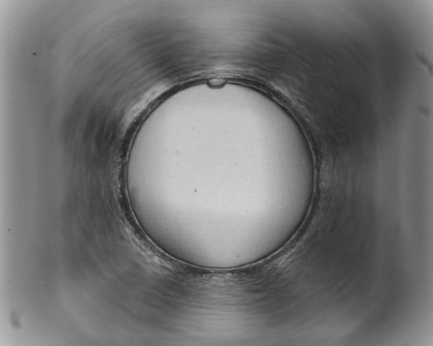 X0000099501410200806051111