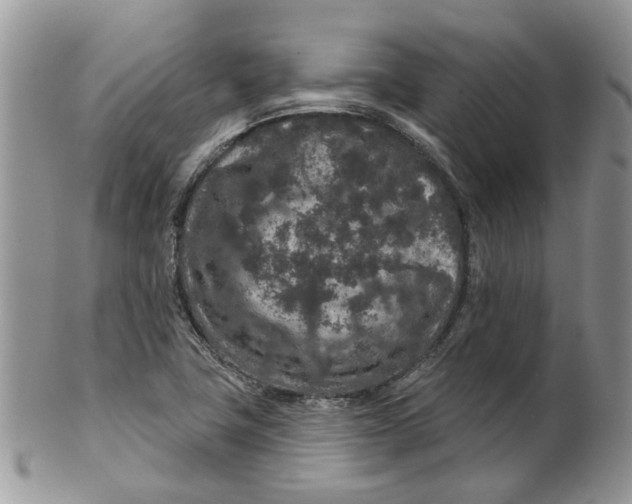 X0000099501411200806051111