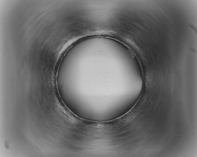 X0000099501412200806051111