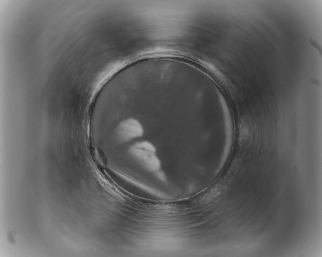 X0000099501413200806051111