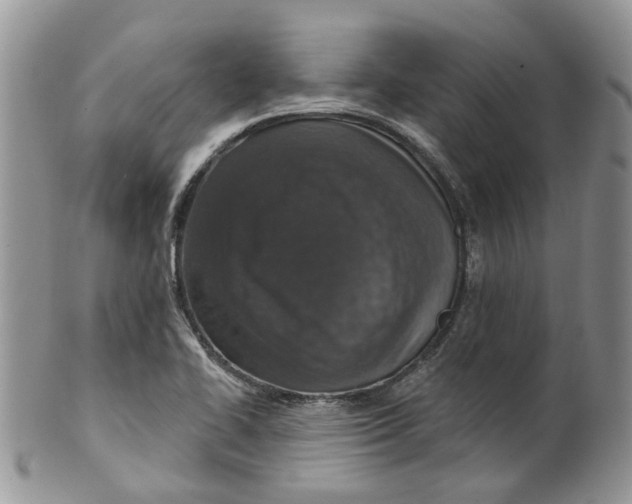 X0000099501414200806051111