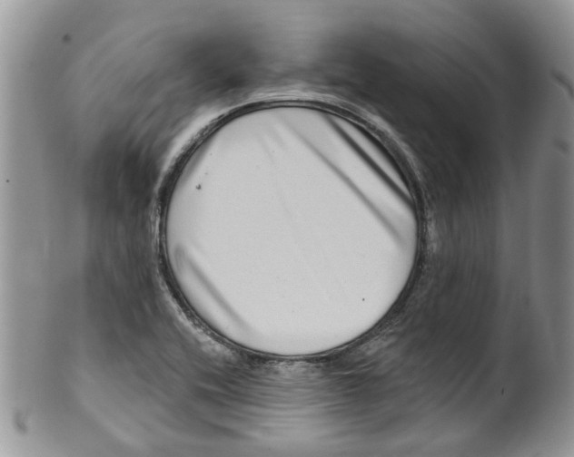 X0000099501416200806051111