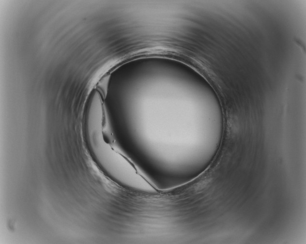 X0000099501418200806051111