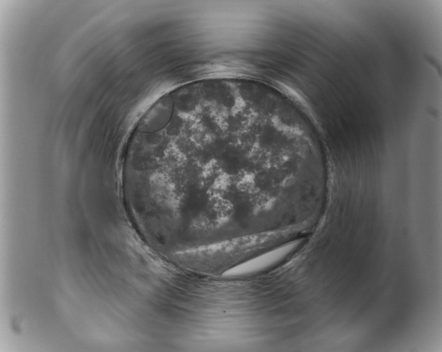 X0000099501419200806051111