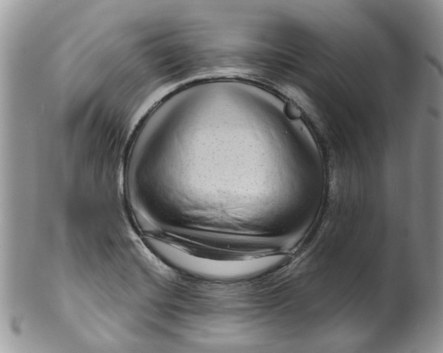 X0000099501420200806051111