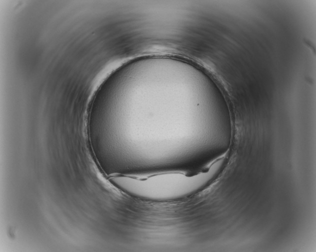 X0000099501421200806051111