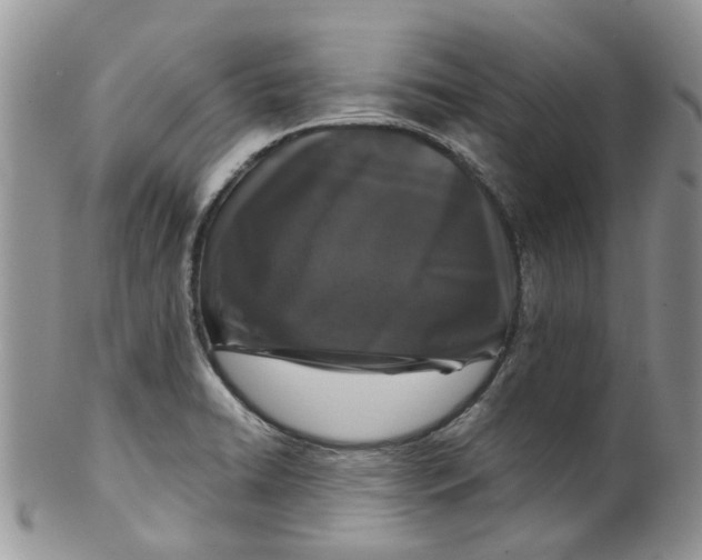 X0000099501422200806051111