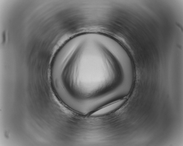 X0000099501424200806051111