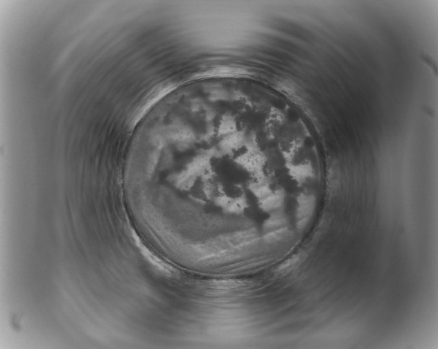 X0000099501425200806051111