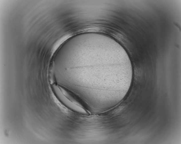 X0000099501426200806051111