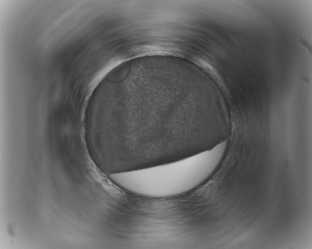 X0000099501427200806051111