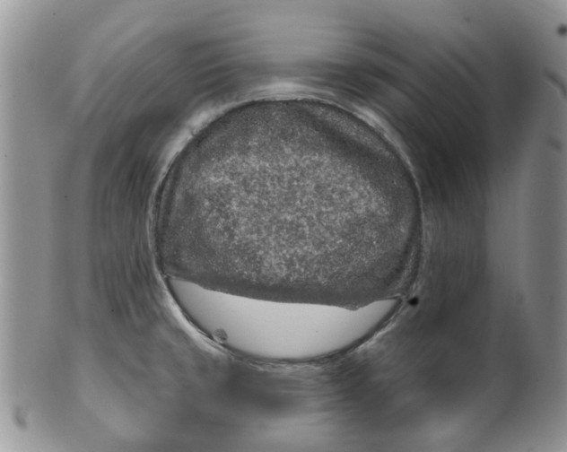 X0000099501429200806051111