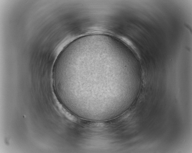 X0000099501431200806051111