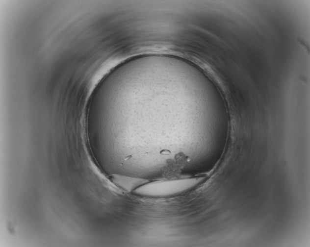 X0000099501432200806051111